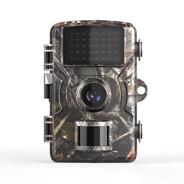 Wildcamera voor Buiten - Met Nachtzicht - Wild Camera, Verzamelen, Overige Verzamelen, Verzenden