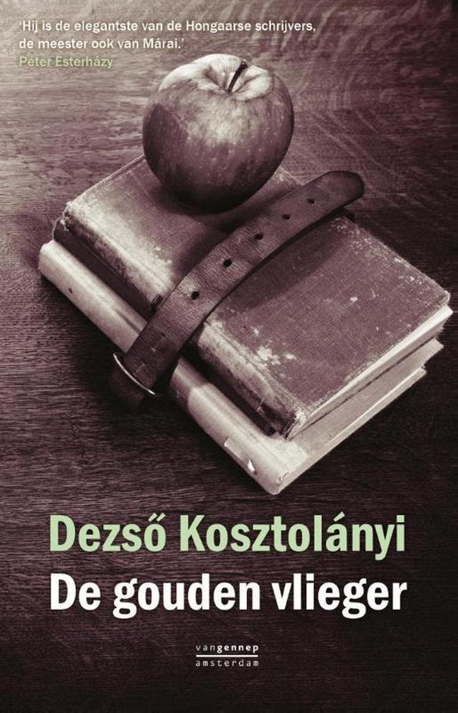 De gouden vlieger 9789461641601 Dezso Kosztolanyi, Livres, Romans, Envoi