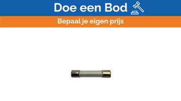 Bieden: ELU Slow-Mounted Glass Fuse 0.63A - 6x30mm / 6.3x32, Ophalen of Verzenden, Nieuw
