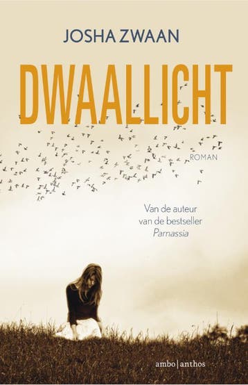 Dwaallicht 9789026334450 Josha Zwaan, Boeken, Verzenden, Zo goed als nieuw, Josha Zwaan