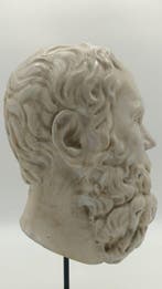 sculptuur, Testa del filosofo Socrate - 39 cm - marmerstof