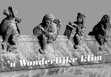 n Wonderlijke klim 9789402232561 Bert Verbruggen, Verzenden, Zo goed als nieuw, Bert Verbruggen