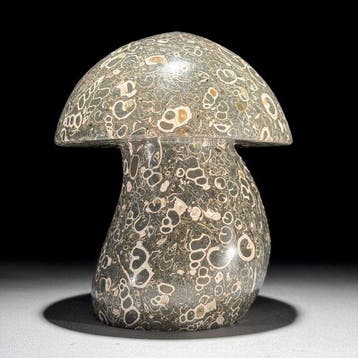 PAS DE PRIX DE RÉSERVE - Sculpture de champignon Turritella, Antiquités & Art