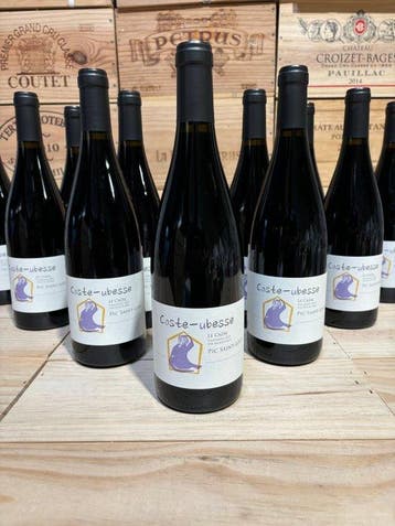 2023 Domaine Coste-Ubesse Le Cazal - Languedoc, Pic, Nieuw