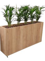 Roomdivider Kantoor - Houten Kantoor Plantenbak - Nieuw, 150 tot 200 cm, Eikenhout, Nieuw, Minder dan 100 cm