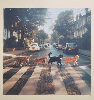 Dikhotomy - The Beatles - Kitty Abbey Road - 2020s