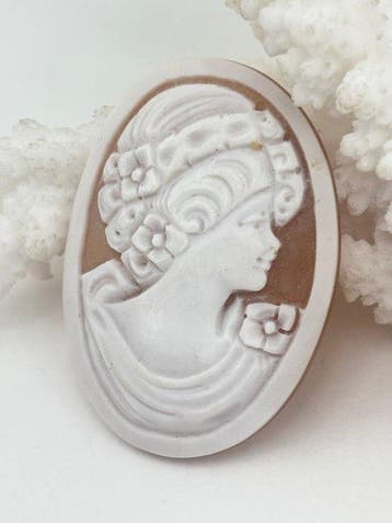 Zonder reserveprijs CASSIS MADAGASCARIENSIS - Cameo -