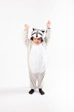 Onesie Grijze Wasbeer Pak 128-134 Wasbeerpak Kostuum Grijs K, Ophalen of Verzenden, Nieuw