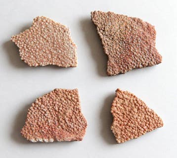 Dinosauruseierenschalen uit Frankrijk - Gefossiliseerd ei