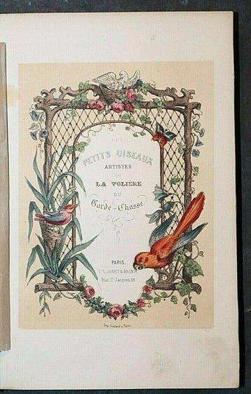 . - Les Petits Oiseaux Artistes Ou La Voliere Du