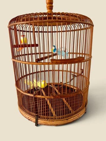 Vintage Vogelkooi - Rattan - jaren vijftig - hoogte 70 cm