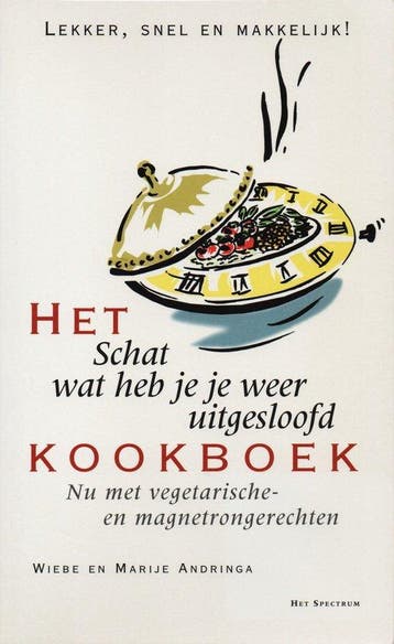 Schat Wat Heb Je Je Weer Uitgesloofd - Andringa, Verzenden