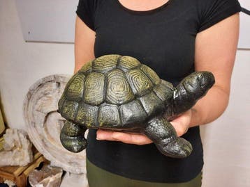 Statue, Turtle - Iron - Handpainted - 0 cm - Fer - 2026
