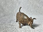sculptuur, Le Taureau Chargeant - 6.5 cm - Brons, Antiek en Kunst