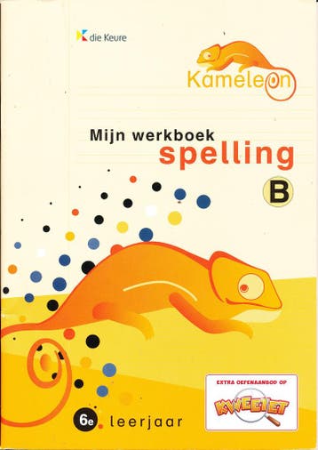 Kameleon Spelling Werkboek B 6e leerjaar (per stuk), Verzenden, Nieuw