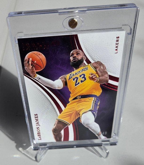 2024/25 Panini Immaculate Collection LeBron James /49, Verzamelen, Stickers