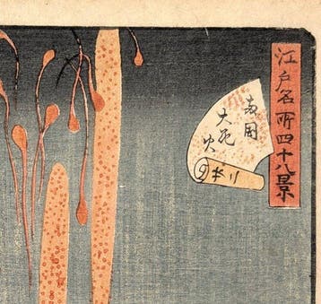 Prachtige vuurwerkshow bij de Rygoku-brug · 48 beroemde