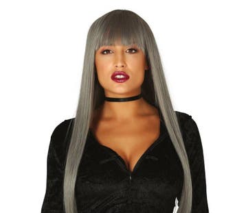 Halloween Pruik Lang Haar Pony Grijs, Verzenden