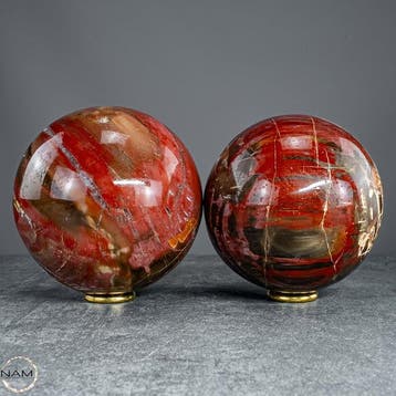 Versteend hout-kogelset – twee fascinerende