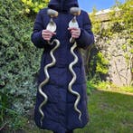 Kaars wandlamp (2) - Messing - Decor met grote cobra-slangen
