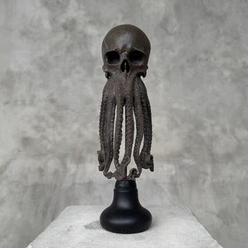 Octopus-schedel sculptuur Schedel - - - 32 cm - 12 cm - 12