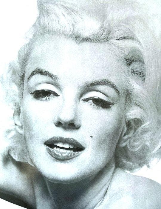 Bert Stern - Marilyn Monroe, The Last Sitting by Bert Stern,, Antiek en Kunst, Kunst | Tekeningen en Fotografie