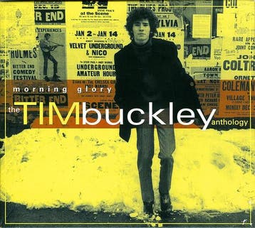Tim Buckley - Morning Glory: The Tim Buckley Anthology, Verzenden, Gebruikt