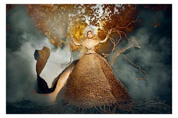 Elena Paraskeva - Forests, Our Martyrs - XL