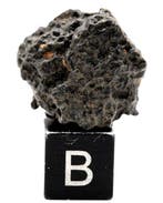 NWA 17750 CK4 koolstofrijke meteoriet Koolhoudende chondrite