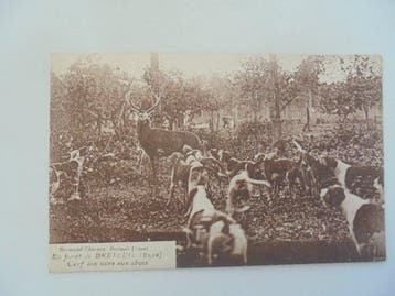 La chasse - Carte postale (43) - 1900-1980