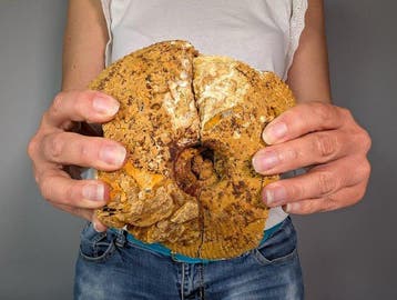 Grote gespleten Dactylioceras-ammoniet met uitzonderlijk, Verzamelen