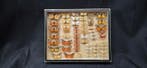 French antique butterflies ex BEON Yvonne collection - circa, Nieuw