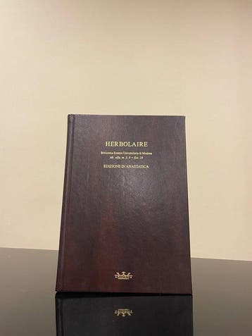 Matthaeus Platearius - Herbolaire Estense - 2008