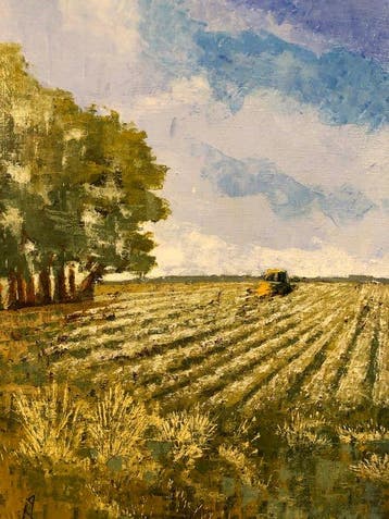 European School (XX) - Harvest Day