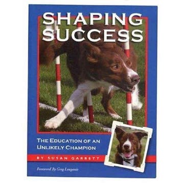 Shaping Success 9781892694133 Susan Garrett, Verzenden, Susan Garrett