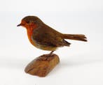 roodborstje Taxidermie volledige montage - Erithacus