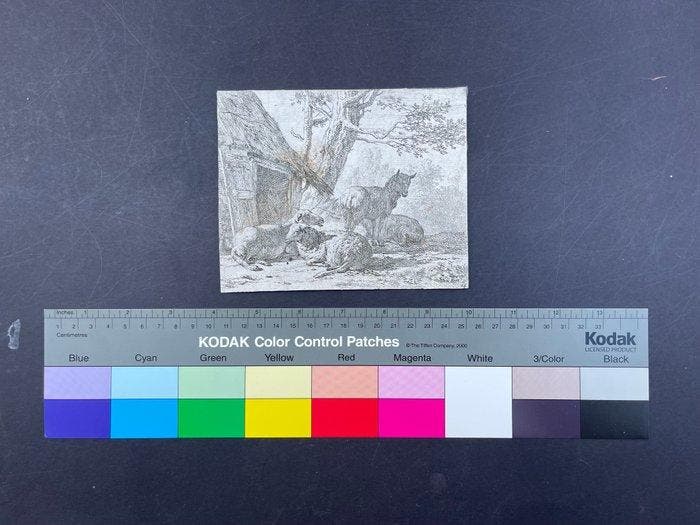 Karel Dujardin (1622-1678) - Quattro pecore davanti alla, Antiek en Kunst, Antiek | Overige Antiek