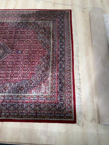 Tapijt - 312 cm - 254 cm, Nieuw