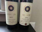 2016 , 2019 Tenuta San Guido, Sassicaia - Bolgheri DOC - 2, Nieuw