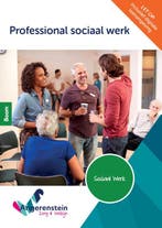 Professioneel sociaal werk | combipakket / Angerenstein, Verzenden, Zo goed als nieuw