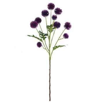 Pom Pom Paars 61 cm per stuk, Nieuw