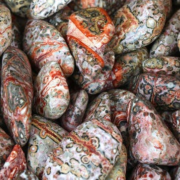 4KG - Dragon Jasper - Getrommelde stenen - lot- 4 kg