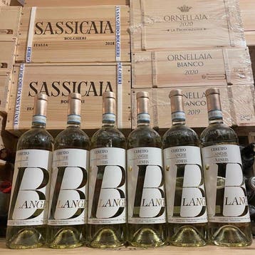 2025 Ceretto, Blangè Arneis - Piëmont DOC - 6 Flessen (0.75, Nieuw