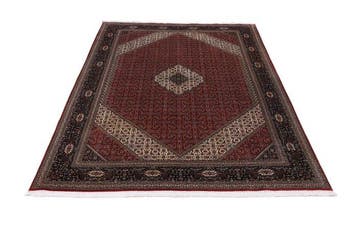 Nieuw Kashmir Zijde Tapijt - Zeldzame Enkele Knoop - Luxe