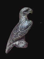 Oud-Romeins Brons Stunning Early Empire Eagle