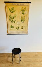 Kruk - Staal, Naaldhout - laboratorium, Antiek en Kunst