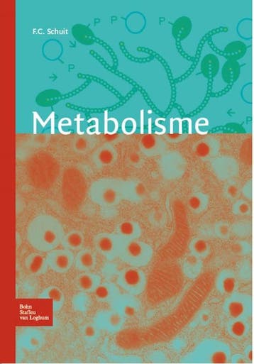 Metabolisme 9789031382248 Frans Schuit, Boeken, Verzenden, Zo goed als nieuw, Frans Schuit