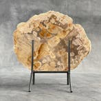 Magnifique tranche de bois pétrifié sur un socle