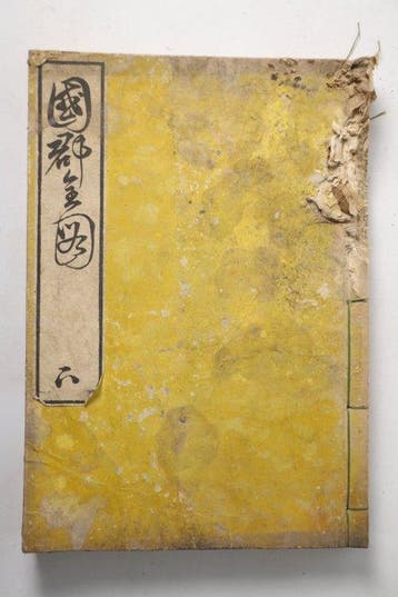 Japan - Japan;  Ichikawa Tkei - Kokugun Zenzu  —, Boeken, Nieuw