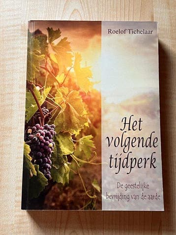 Het volgende tijdperk 9789082263985 Roelof Tichelaar, Verzenden, Roelof Tichelaar